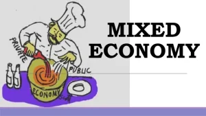 mixed economy 1 638